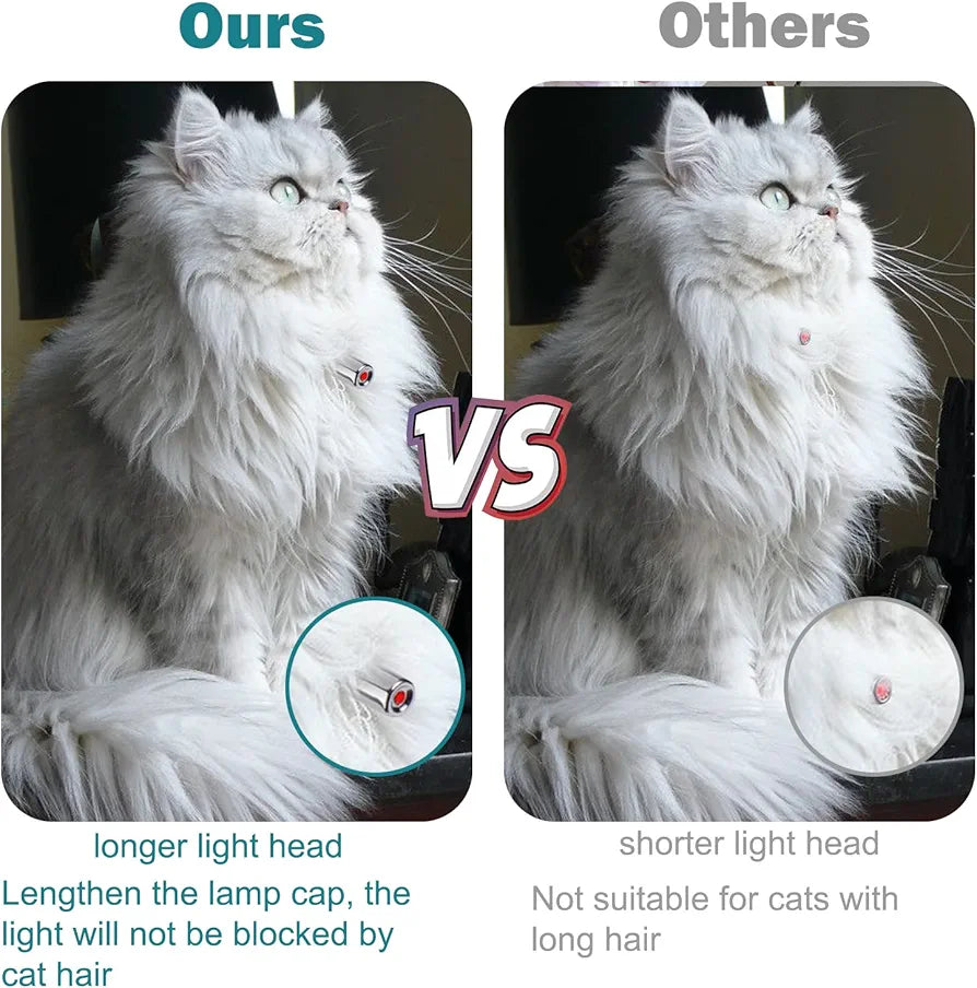 Pet Laser Collar Self Teasing Toy